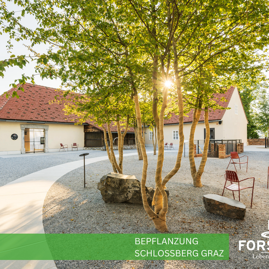 Das Äußere von Schlossberg Graz zeigt ein rotes Ziegeldach und einen Kiesweg. Bäume und Stühle sind im Vordergrund verstreut, mit einem großen Felsen in der Mitte. Die Sonne scheint hell und wirft ein warmes Licht.