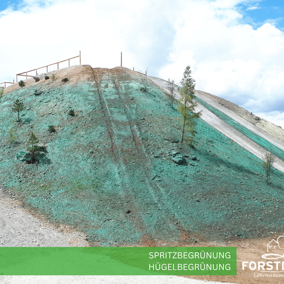 Ein Hügel mit grüner Vegetation und einigen kleinen Bäumen, möglicherweise das Ergebnis eines Aufforstungsprojekts. Der Hügel hat oben eine Umzäunung und einige Reifenspuren am Hang. Der Himmel ist bewölkt.