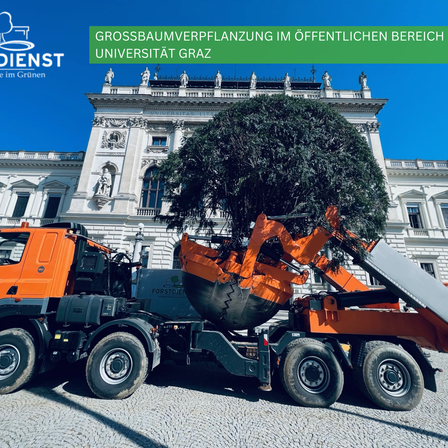 Ein Baumpflanzer-Lkw steht vor einem großen Gebäude. Ein Baum wird von einem Kran aus dem Lkw gehoben. Der Text auf dem Bild lautet 'Grossbaumverpflanzung im oeffentlichen Bereich Universitat Graz.'