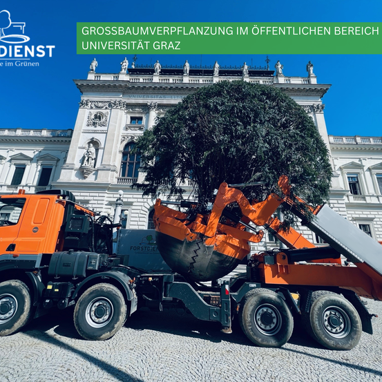 Ein Baumpflanzer-Lkw steht vor einem großen Gebäude. Ein Baum wird von einem Kran aus dem Lkw gehoben. Der Text auf dem Bild lautet 'Grossbaumverpflanzung im oeffentlichen Bereich Universitat Graz.'
