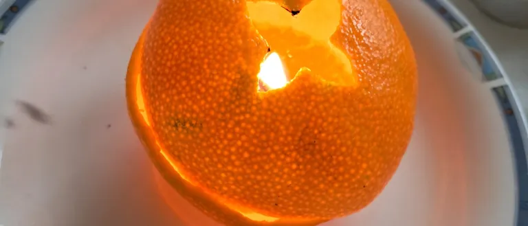 Citrus Fruit, Food, Fruit, Plant, Produce, Orange, Grapefruit, Plate