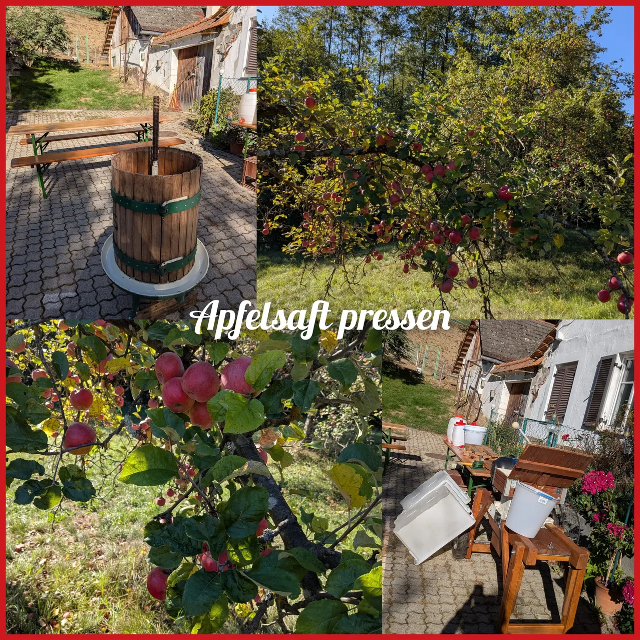 Eine Collage aus drei Bildern, die die Apfelernte zeigen. Das erste Bild zeigt eine hölzerne Presse, das zweite einen Apfelbaum mit reifen Äpfeln und das dritte ein Haus mit apfelbezogenen Gegenständen.