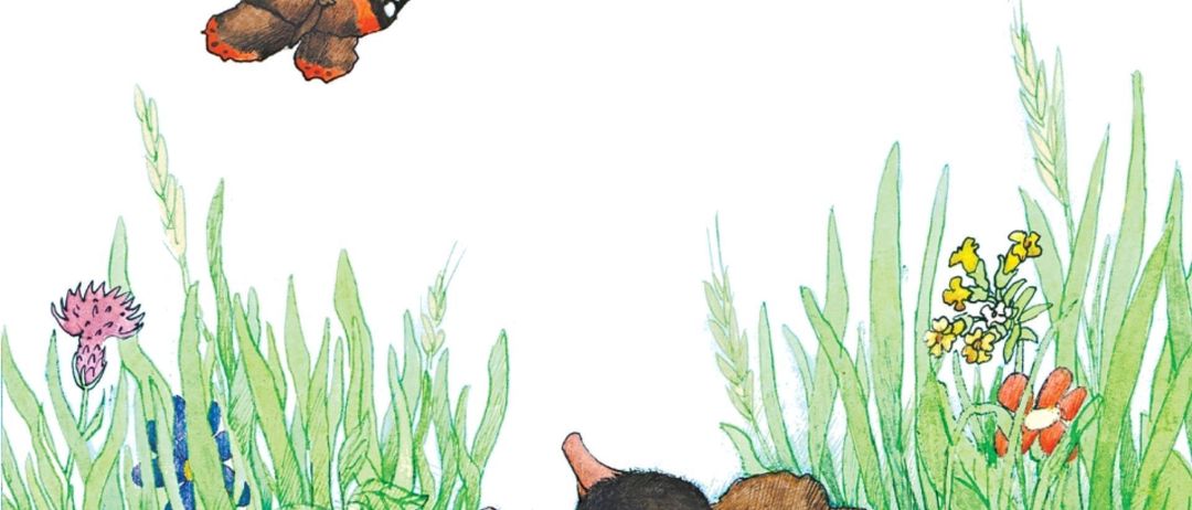 Ein Buchcover zeigt einen Maulwurf, der in einem Loch im Boden liegt, mit einem Schmetterling darüber. Der Titel lautet 'Der Maulwurf Grabowski'.