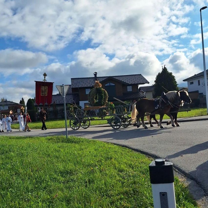 Bild enthält, Neighborhood, Wheel, Person, Outdoors, Nature, Horse Cart, Village, Urban, Suburb, Horse