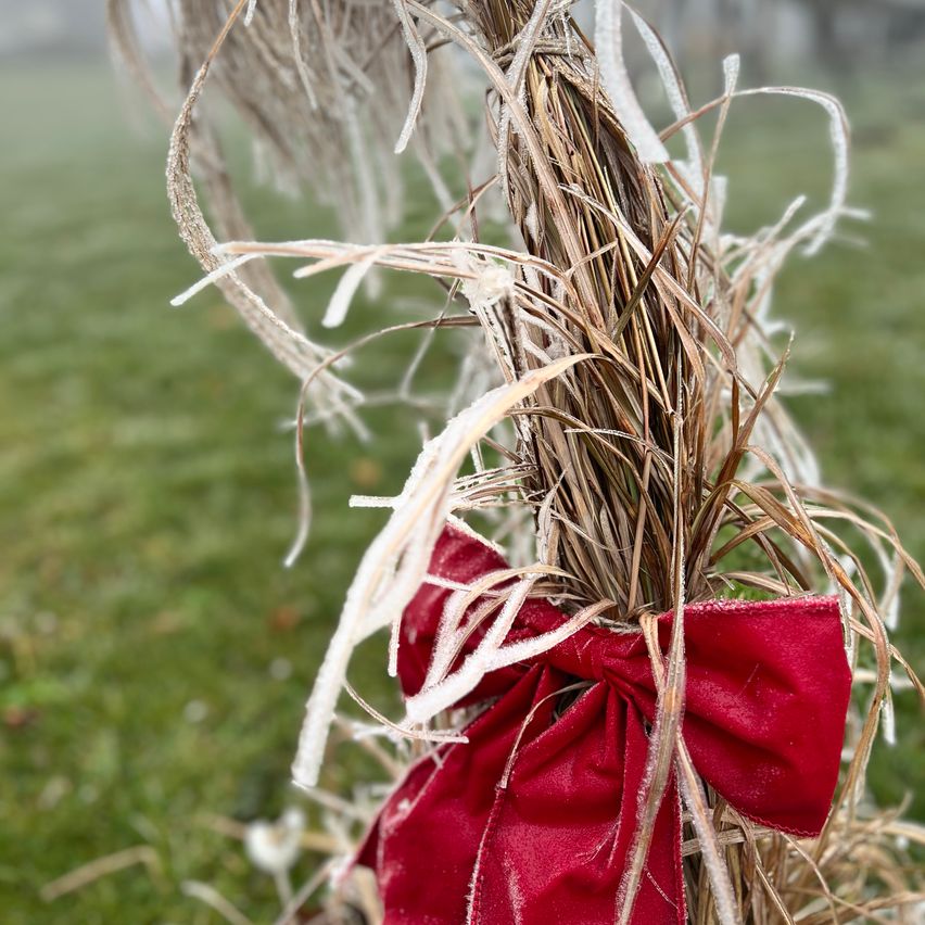 Nahaufnahme eines roten Bandes, das um eine Krone aus getrocknetem Gras gebunden ist, mit Reif auf den Zweigen, vor einem unscharfen grünen Hintergrund.
