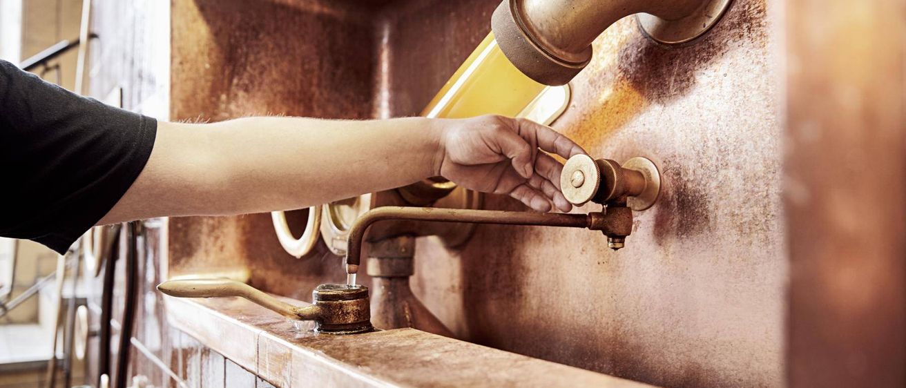 Bild enthält, Body Part, Hand, Person, Sink, Bronze, Washing Hands
