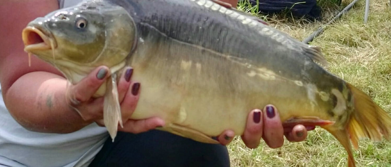 v1_migrated_image_43666077