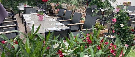 Indoors, Interior Design, Backyard, Outdoors, Terrace, Dining Table, Table, Potted Plant, Flower, Grass