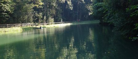 Ein ruhiger See, umgeben von dichtem Wald, mit einem Holzzaun am Ufer und einem angedockten Boot. Das Sonnenlicht filtert durch die Bäume und wirft Reflexionen auf das Wasser.