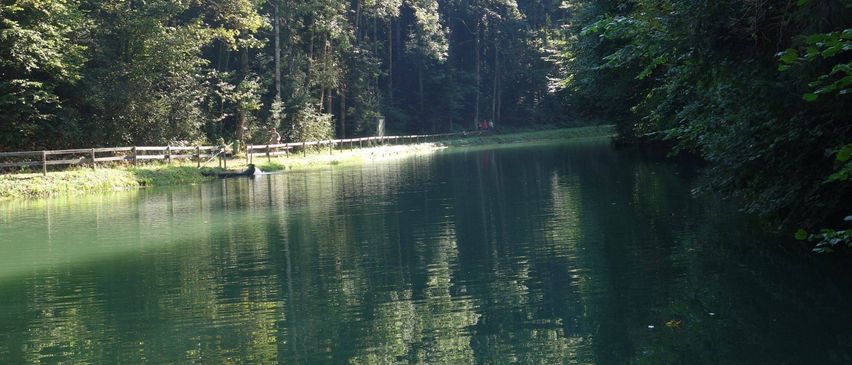 Ein ruhiger See, umgeben von dichtem Wald, mit einem Holzzaun am Ufer und einem angedockten Boot. Das Sonnenlicht filtert durch die Bäume und wirft Reflexionen auf das Wasser.