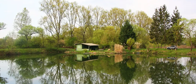 Bild enthält, Nature, Outdoors, Scenery, Pond, Water, Lakefront, Car, Transportation, Vehicle