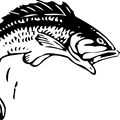 Fischerverein Schlins-Logo