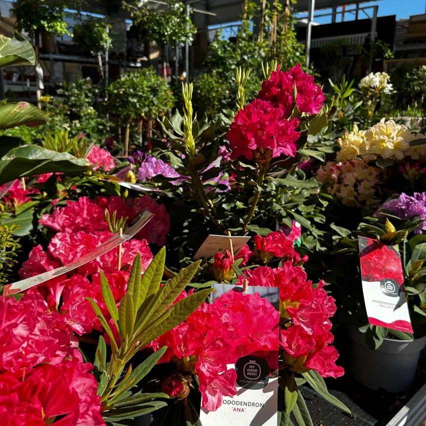 Beitrag von OBI Markt Pinkafeld | CITIES
