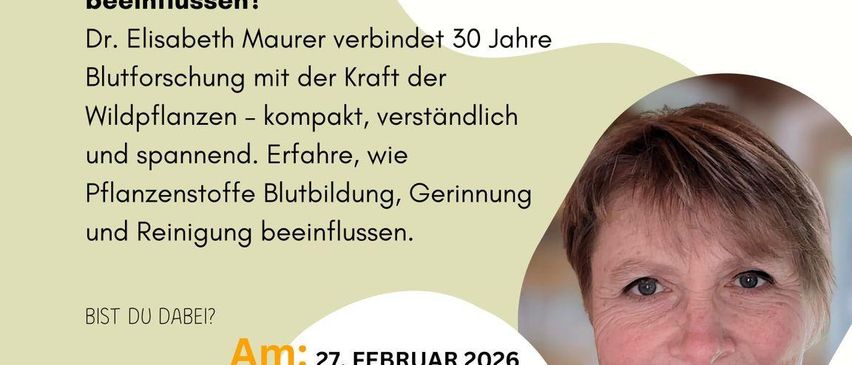 Ein Veranstaltungsplakat über die Wirkung von Wildblumen auf das Blut, mit Dr. Elisabeth Maurer, die ihre 30-jährige Forschung präsentiert. Die Veranstaltung findet am 27. Februar 2026 um 19:00 Uhr im Cafe 101 in 8424 Gabersdorf statt.