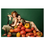 v1_migrated_image_65026964