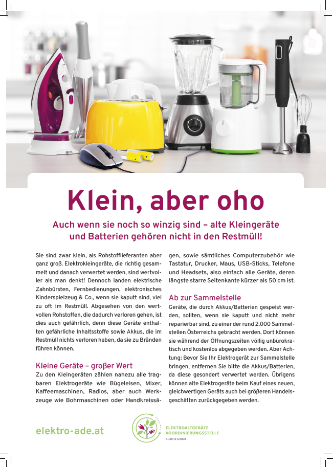Das Bild zeigt verschiedene kleine Haushaltsgeräte wie Toaster, Bügeleisen, Mixer und Computerzubehör. Es betont die Bedeutung der ordnungsgemäßen Entsorgung dieser Geräte und Batterien und weist auf ihre potenziellen Gefahren hin. Es wird auf die Notwendigkeit einer verantwortungsvollen Recycling empfohlen.