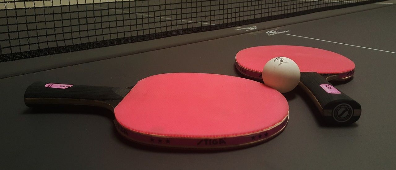 Bild enthält, Racket, Sport, Tennis, Tennis Racket, Ping Pong, Ping Pong Paddle