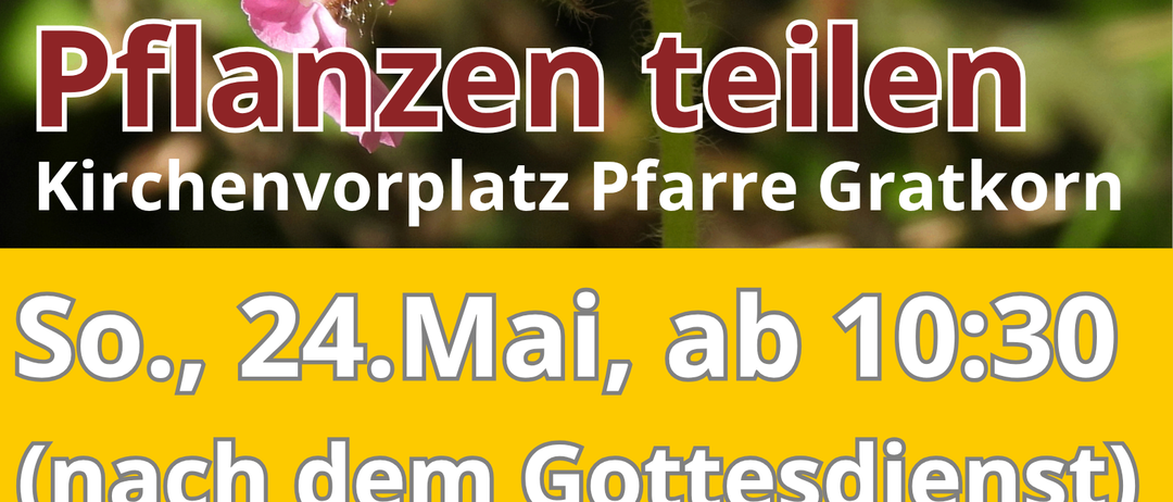 A poster with pink flowers reads 'Planten teilen'. An event on May 24 at 10:30. Blessing for gardens and plants. Sharing, taking, and exchanging experiences.