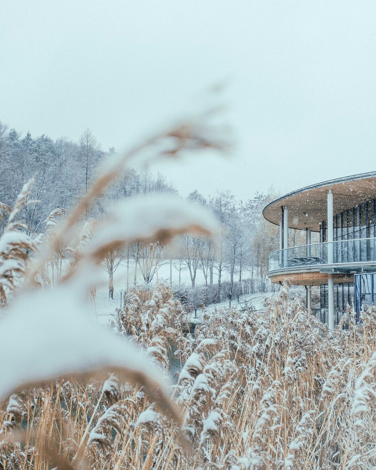 Bild enthält, Reed, Nature, Outdoors, Weather, Ice, Shelter, Scenery, Snow, Person