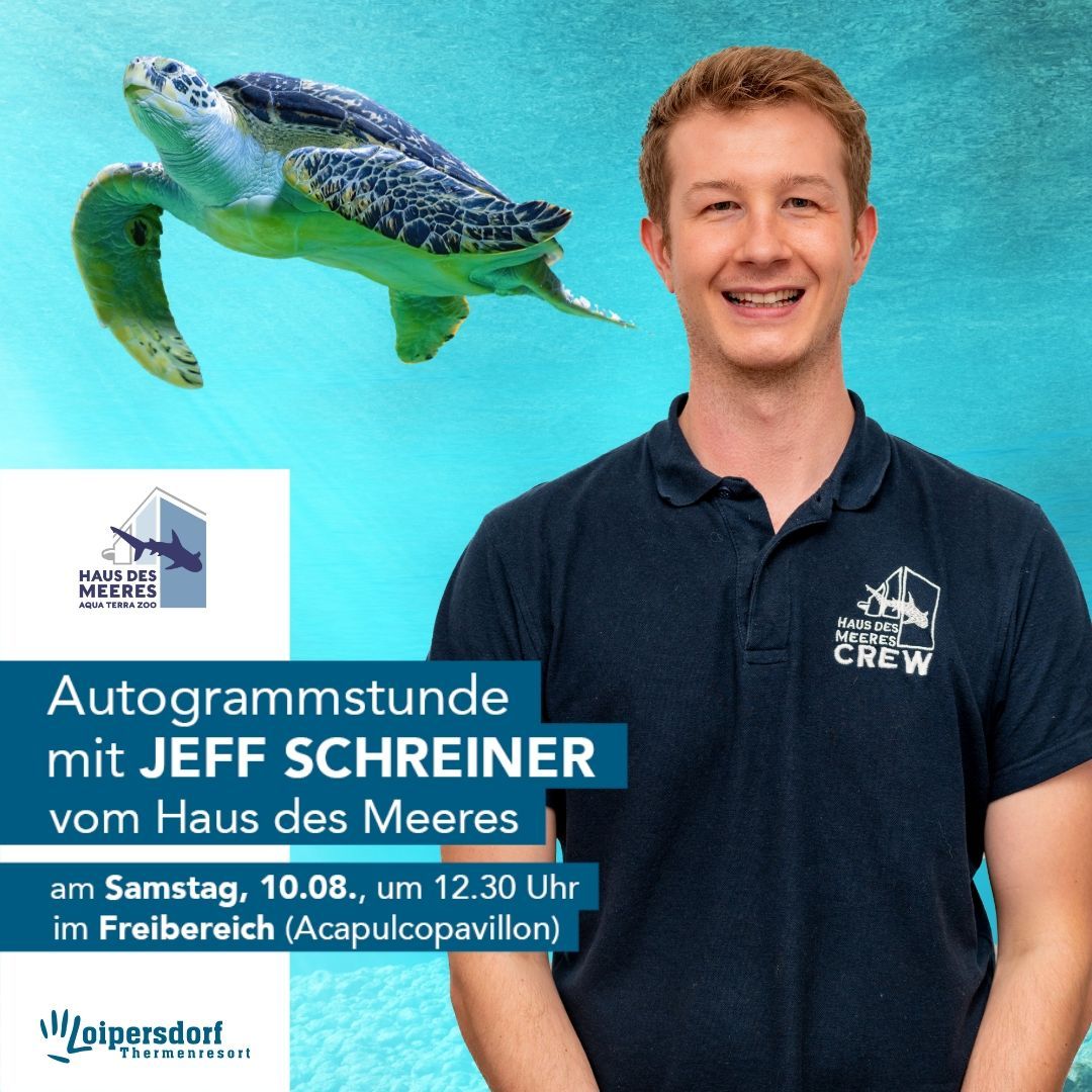 Bild enthält, Advertisement, Poster, Sea Turtle, Turtle, T-Shirt, Adult, Male, Man, Person, Tortoise