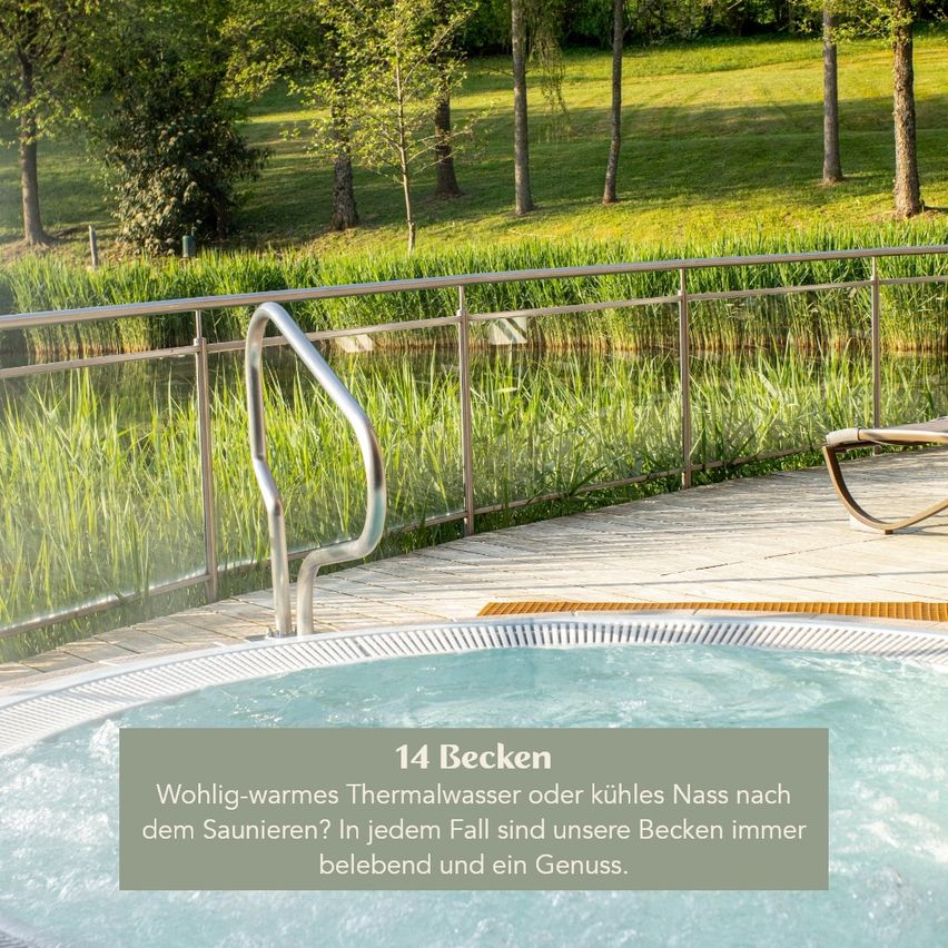 Außenpool mit Holzdeck, Metallgeländern und einer malerischen Aussicht auf ein Grasfeld und Bäume.