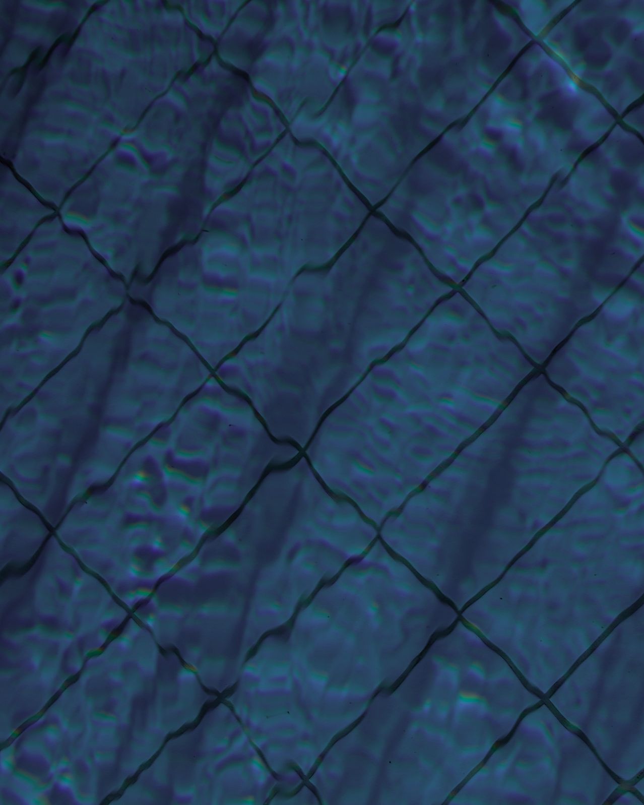 Ein abstraktes blau-grünes Muster, das einem Netz oder Gitter ähnelt, mit Wasserwellen.