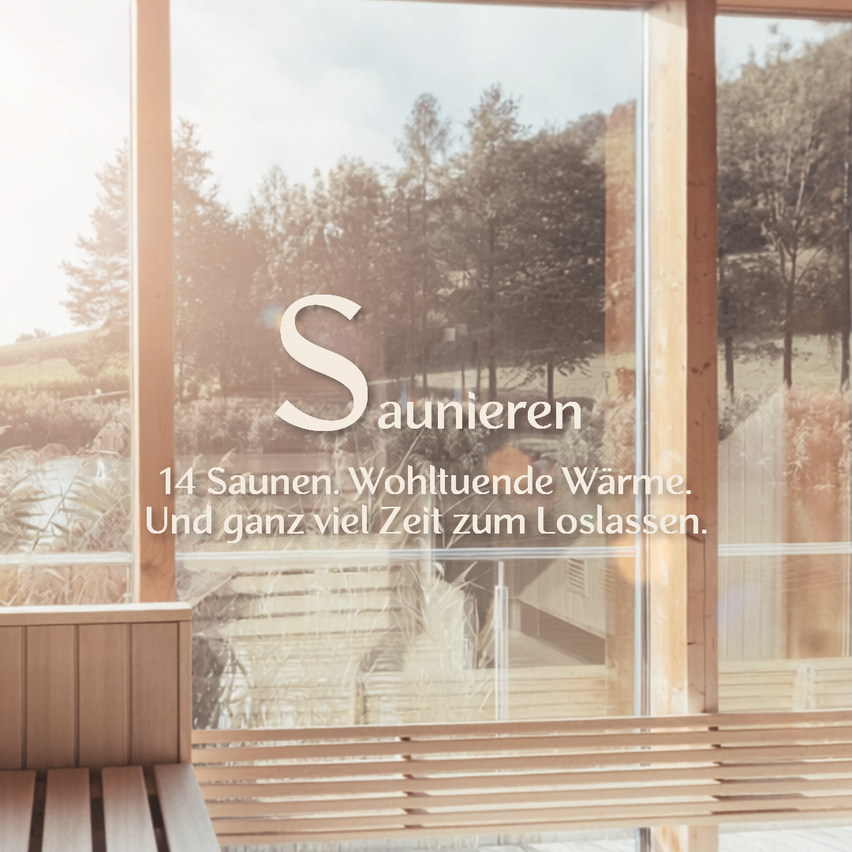 Eine Holzbank vor einem Glasfenster mit Blick auf einen Wald und einen Berg. Das Wort 'Saunierer' ist auf dem Fenster zu sehen.