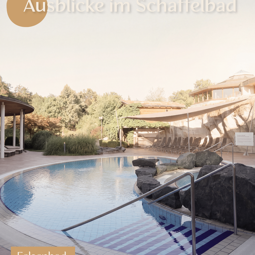 A swimming pool with a metal handrail and rocks around it, surrounded by a wooden building and trees.