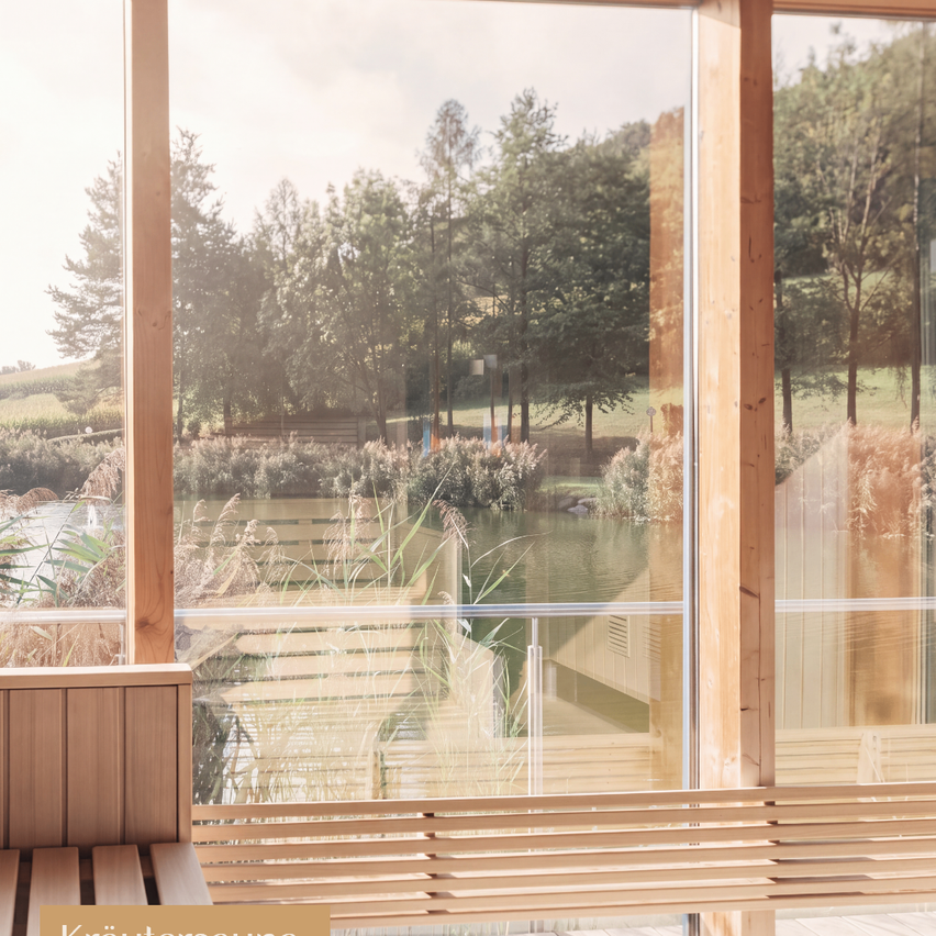 A wooden bench inside a wooden structure with glass windows, overlooking a serene lake with trees and a grassy field.