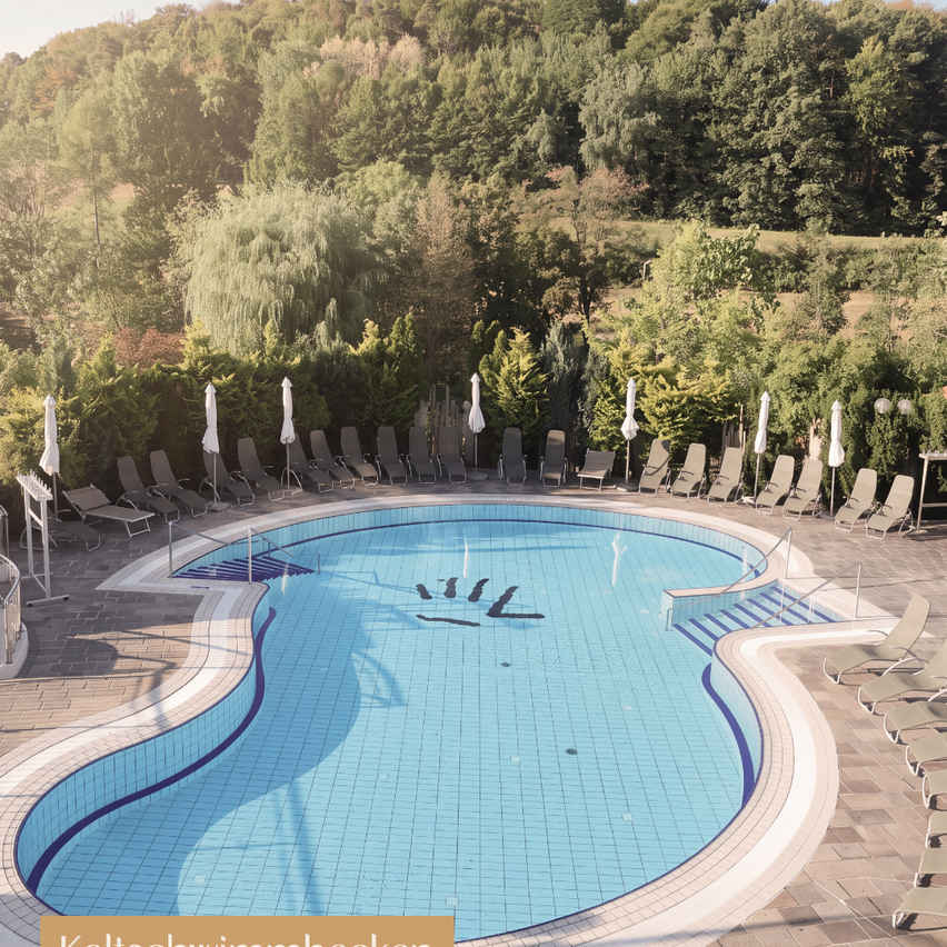 An outdoor pool surrounded by lounge chairs and umbrellas, with a scenic view of trees and mountains in the background.