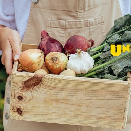 Bild enthält, Person, Food, Produce