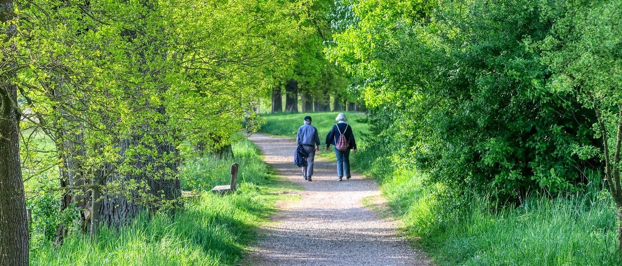 Bild enthält, Path, Person, Walking, Outdoors, Trail, Vegetation, Tree, Woodland, Park, Grove