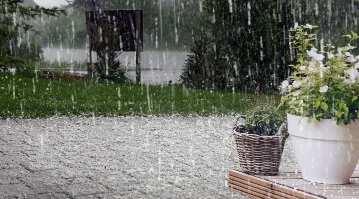 A patio in heavy rain with a grassy lawn, a wooden sign, and a white potted plant. The ground is wet and gravelled.