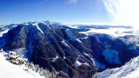 v1_migrated_image_6270946