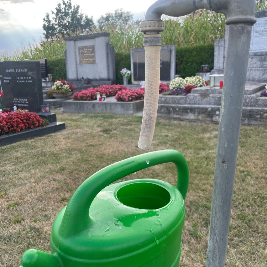 A green watering can collects water from a pipe in a cemetery, with tombstones and flowers in the background.