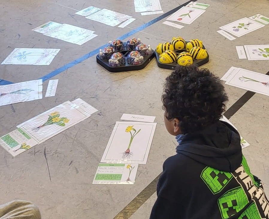 Ein Kind untersucht Bildungsmaterialien über Pflanzen und Insekten auf dem Klassenzimmerboden, umgeben von verschiedenen gedruckten Blättern und Tabletts mit Bienenfiguren.