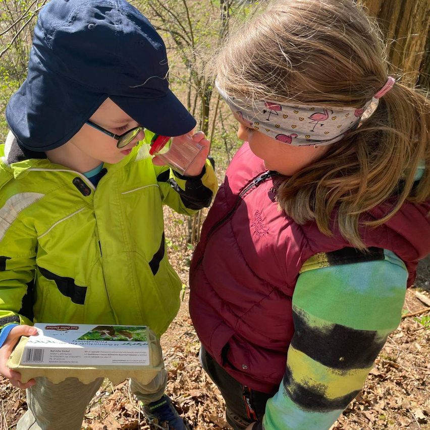 Zwei Kinder stehen in einem Wald, eines hält eine Box mit Eiern und untersucht sie mit einer Lupe. Das Mädchen hat ein Stirnband mit Flamingo-Mustern.