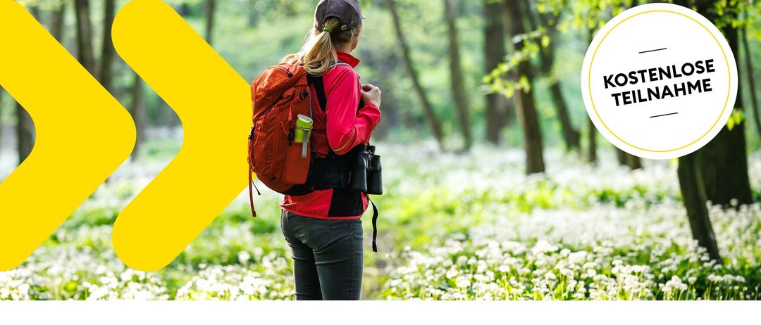 Ein Plakat für eine Wanderveranstaltung auf dem Hemmaberg. Eine Frau mit Rucksack ist im Wald. Die Veranstaltung ist kostenlos. Datum: Samstag, 11.04.2026, Zeit: 09:30 Uhr.