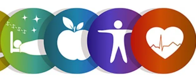 Fünf farbige Symbole in einer Reihe: Bett, Apfel, Person, Herz und Stern.