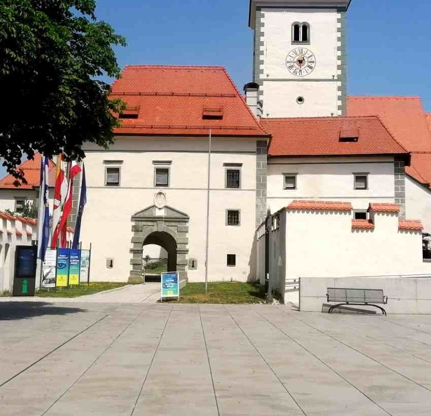 v1_migrated_image_66487915