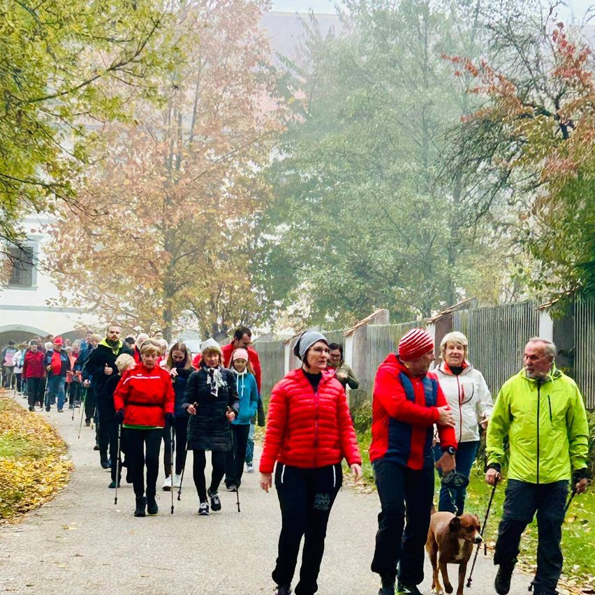 Eine Gruppe von Menschen in warmen Kleidungsstücken geht auf einem Pfad mit Bäumen und einem Zaun. Einige von ihnen benutzen Gehstöcke. Eine Person hält einen Hund an der Leine.