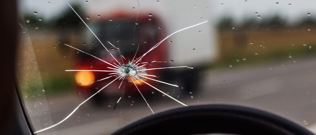 Car, Transportation, Vehicle, Windshield, Bird, Wheel
