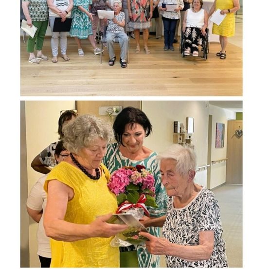 Bild enthält, Photography, Person, Portrait, Flower, Flower Arrangement, Potted Plant, Flower Bouquet, Adult, Female, Woman