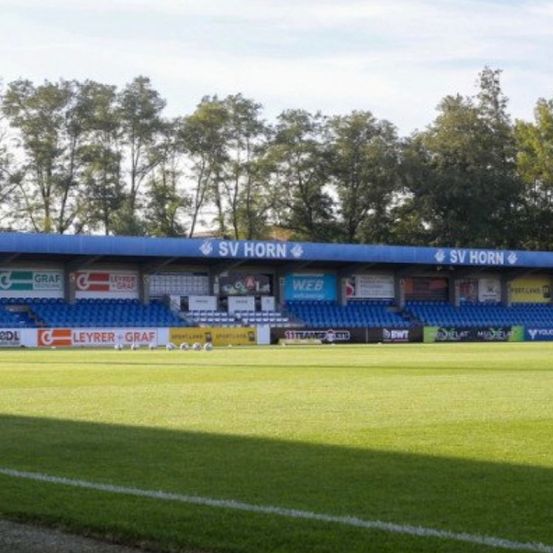 Bild enthält, Field, Person, Cricket, Sport