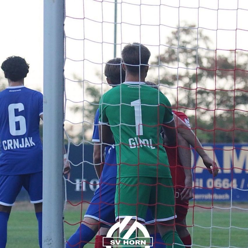 A soccer match with players in blue, green, and red jerseys. The player in green is facing the goal with his back turned. The player in blue is standing behind the goalpost.