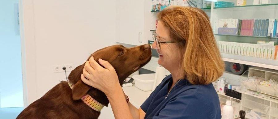 Eine Frau in einem blauen Shirt streichelt einen braunen Hund mit einem bunten Halsband in einem Raum mit einer weißen Wand und einem Regal mit Gegenständen.