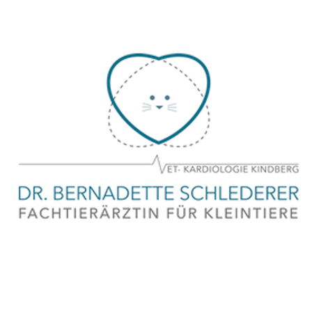Ein Logo für Dr. Bernadette Schlederer, eine Fachärztin für Kinderkardiologie, zeigt ein stilisiertes Herz mit einer Katze darin, was Fürsorge und Expertise in der Herzgesundheit von Kindern symbolisiert.