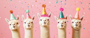 Bild enthält, Clothing, Hat, Animal, Livestock, Mammal, Sheep, Party Hat, Dessert, Food, Ice Cream