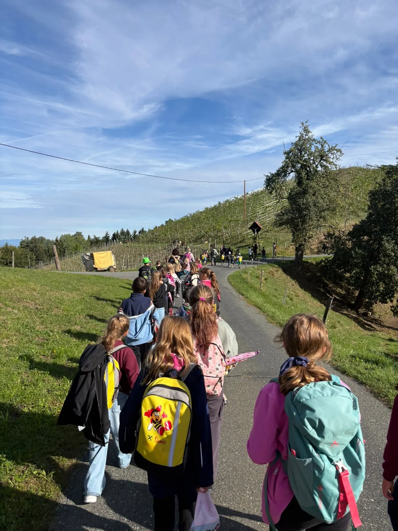 Eine Gruppe von Kindern mit Rucksäcken geht auf einem Pfad durch ein Grasfeld, mit einem Weinberg im Hintergrund.