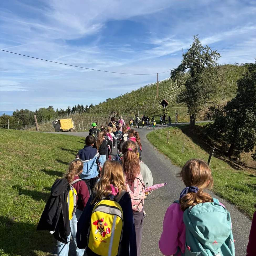 Eine Gruppe von Kindern mit Rucksäcken geht auf einem Pfad durch ein Grasfeld, mit einem Weinberg im Hintergrund.